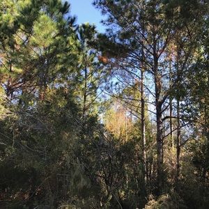 Meet your Posher, Kaya